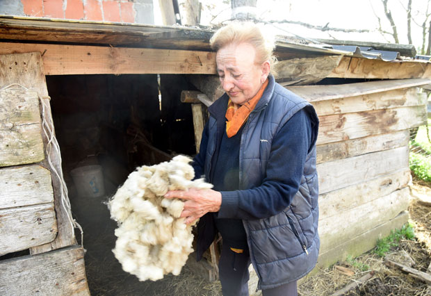 ДАН ПОСЛЕ ПИСАЊА НОВОСТИ: Пао први лопов из Трешње
